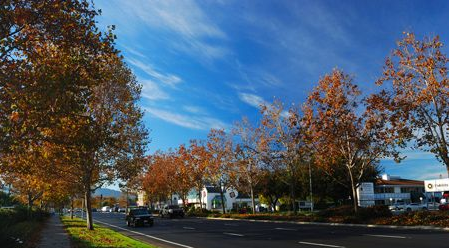 LѾf IԼݱL   ʮһS֮x