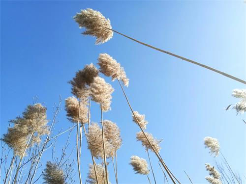 珍貴實操經(jīng)驗!讓酒水商務團購不再愁!