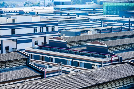 “醬酒金花”再提速,貴州安酒獲中酒展“四大獎項”